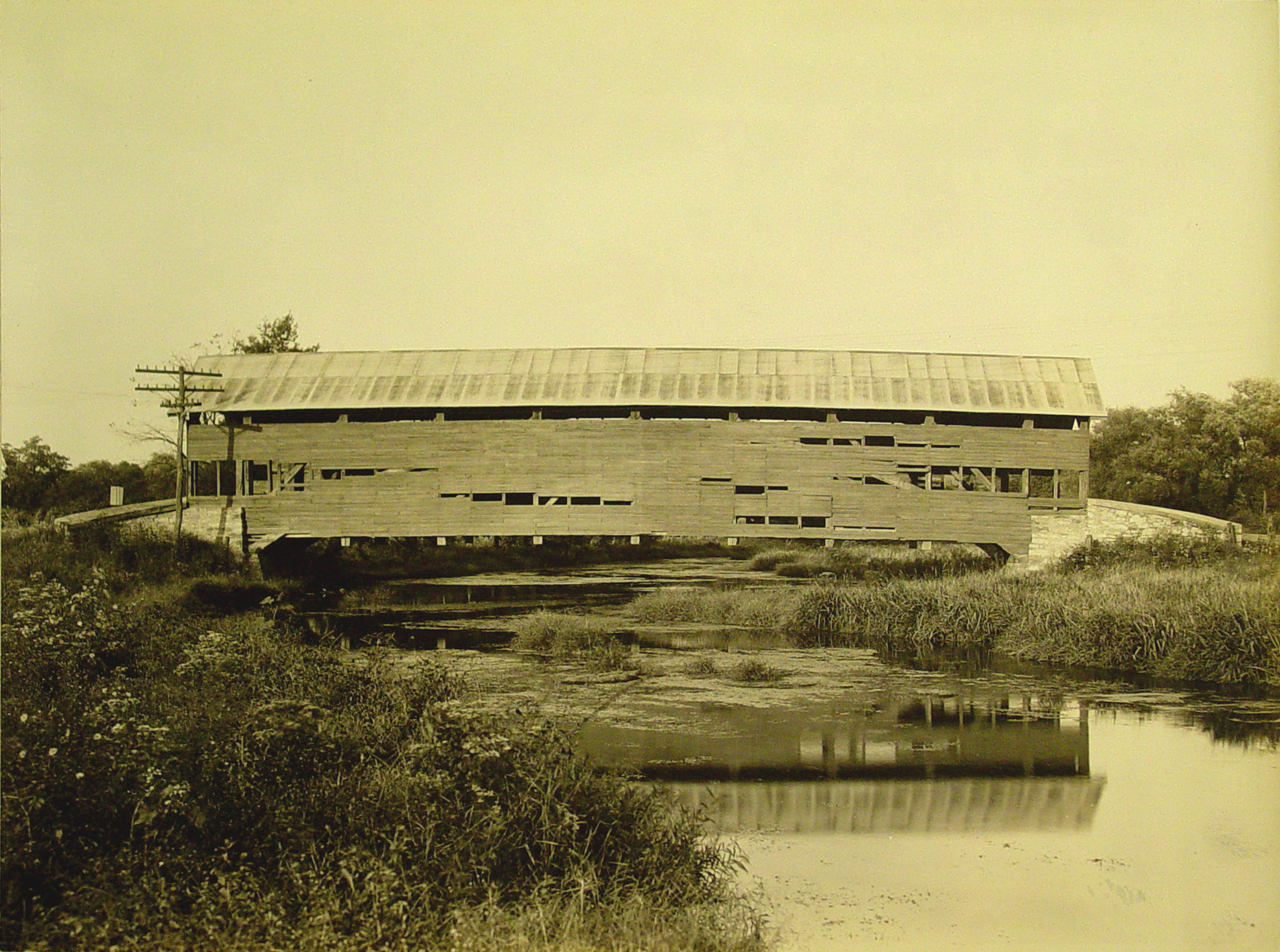 Creek Bridge