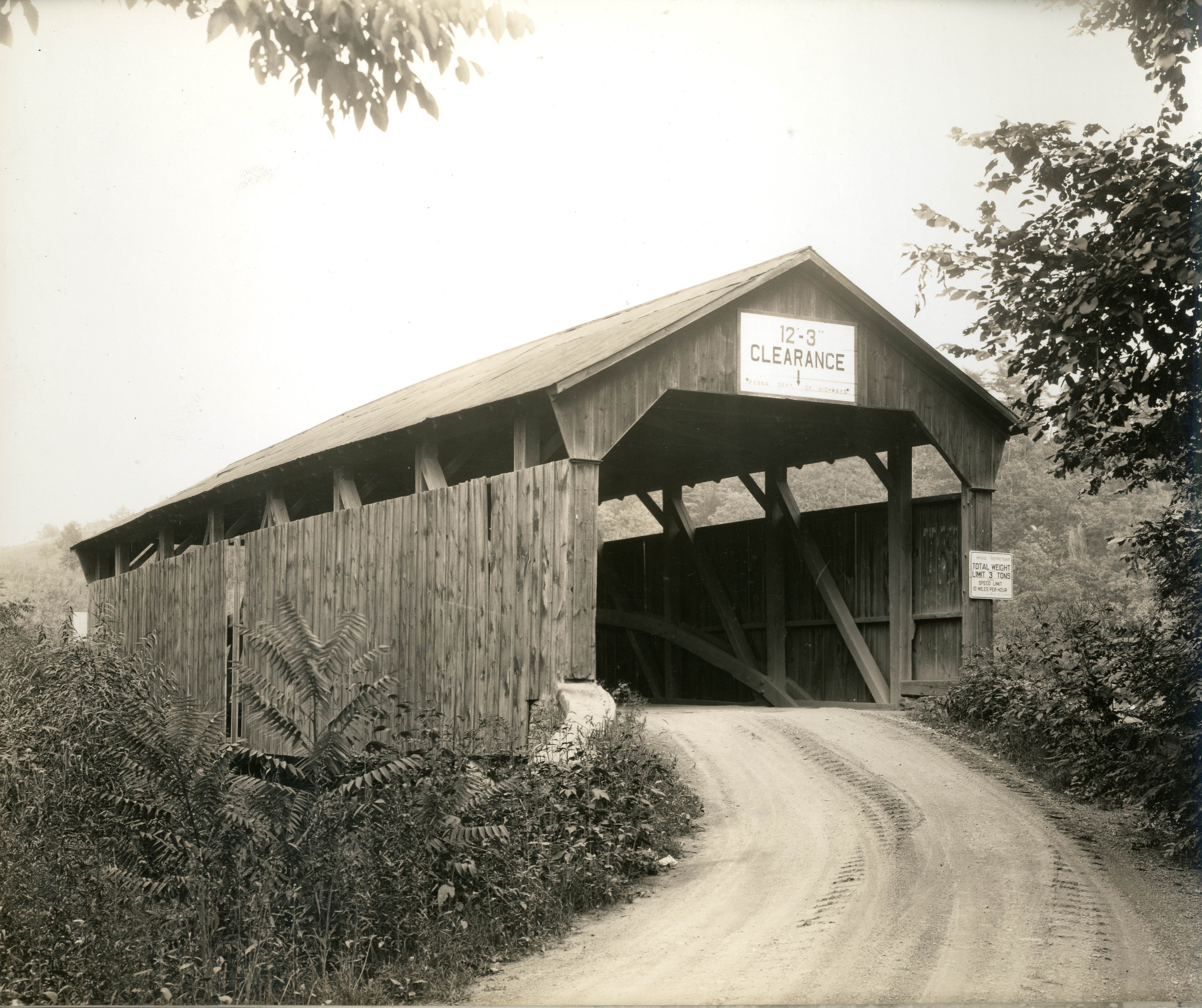 Aline Bridge
