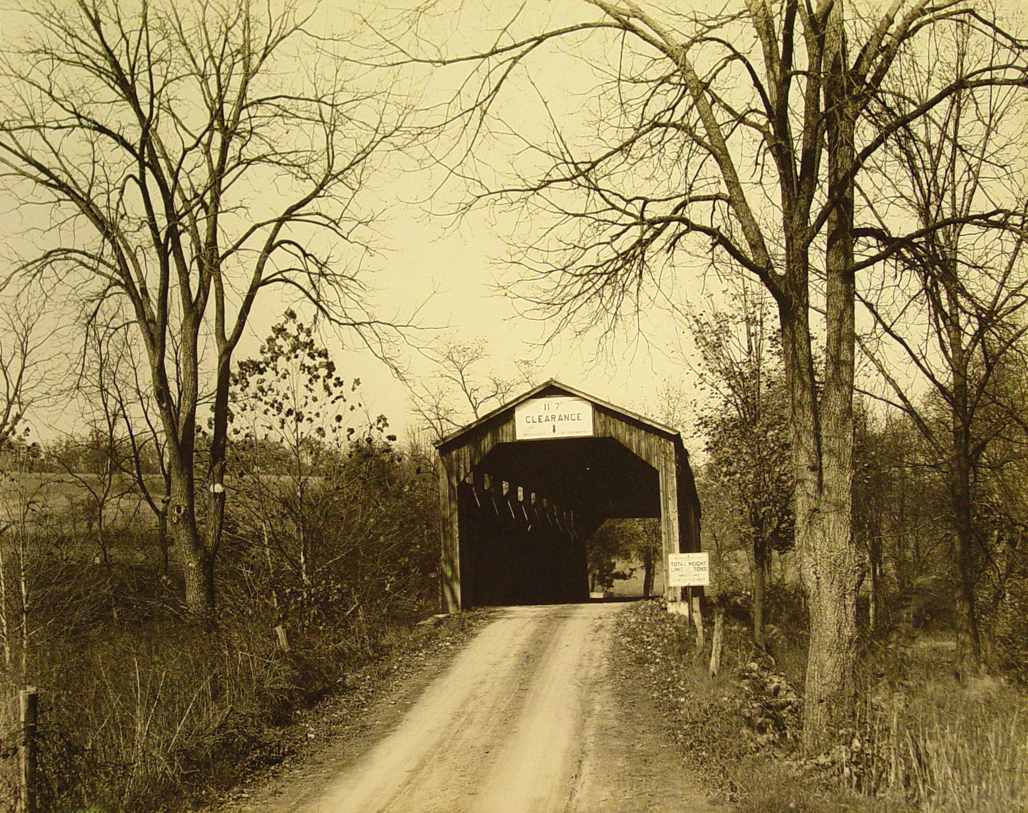 Ross Rasinger's Mill Bridge