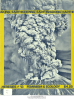 Issue #13: Feminism & Ecology
