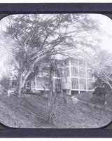 Citation block thumbnail